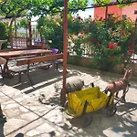 Къща за гости Delieva House 3*
