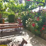 Delieva House Огняново