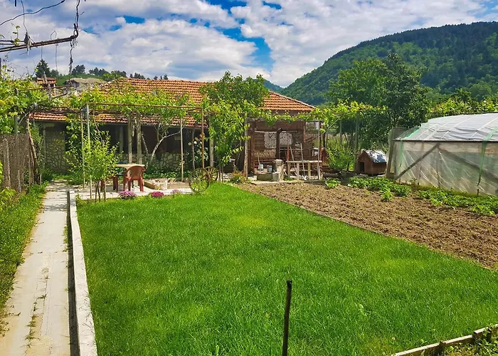 Delieva House 3* Ognjanovo